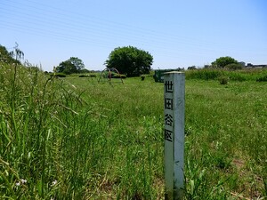 周辺環境:多摩川遊園 土地・売地 世田谷区野毛１丁目 7563万円 等々力駅｜住建ハウジング