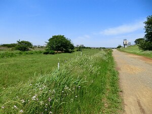 周辺環境:多摩川遊園 土地・売地 世田谷区等々力１丁目 29800万円 等々力駅｜住建ハウジング