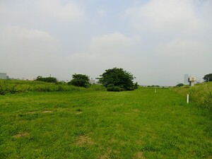 周辺環境:多摩川遊園 ザ・グランツ等々力