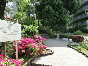 周辺環境:中目黒南緑地公園 日生住宅目黒マンション