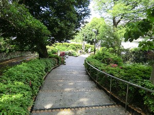 周辺環境:中目黒南緑地公園 日生住宅目黒マンション(6790万円)｜中古マンション（新築･中古）｜住建ハウジング