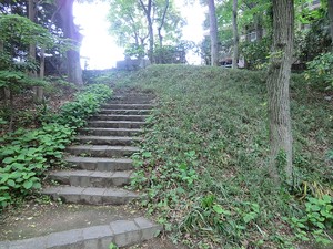 周辺環境:等々力渓谷公園 世田谷区野毛２丁目(12400万円)｜土地・売地｜住建ハウジング