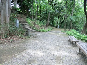 周辺環境:等々力渓谷公園 世田谷区野毛２丁目(9980万円)｜中古一戸建て｜住建ハウジング