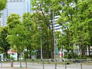 周辺環境:こうなん星の公園 パークタワー品川ベイワード