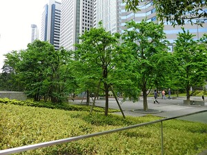 周辺環境:汐の公園 マンション(区分) 港区港南４丁目 シティタワー品川 10000万円 品川駅｜住建ハウジング