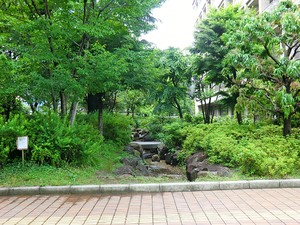 周辺環境:西原せせらぎ公園 ファミールグラン代々木の杜