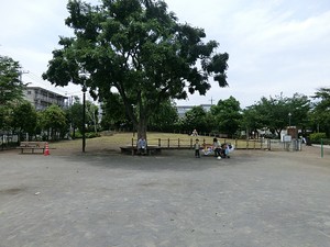 周辺環境:代沢せせらぎ公園 シティライブ池ノ上