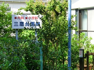 周辺環境:三鷹台医院 新築一戸建て 三鷹市牟礼２丁目 14580万円 三鷹台駅｜住建ハウジング