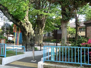 周辺環境:柿の木坂児童遊園 目黒区柿の木坂２丁目(16800万円)｜土地・売地｜住建ハウジング