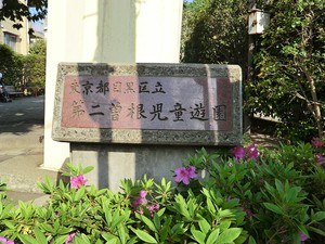 周辺環境:第二曽根児童遊園 アデニウム学芸大学