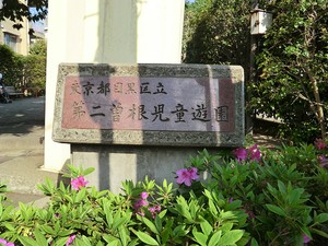 周辺環境:第二曽根児童遊園 目黒区柿の木坂２丁目(9180万円)｜土地・売地｜住建ハウジング