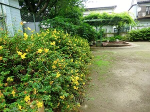 周辺環境:なかよし公園 杉並区宮前３丁目(6400万円)｜土地・売地｜住建ハウジング