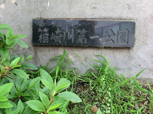 周辺環境:箱崎川第一公園 ガーラ・レジデンス日本橋水天宮