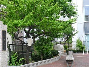 周辺環境:茅場橋北児童遊園 中央区日本橋蛎殻町１丁目(9480万円)｜土地・売地｜住建ハウジング