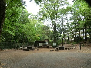 周辺環境:鎌田公園 土地・売地 三鷹市井の頭４丁目 9080万円 吉祥寺駅｜住建ハウジング