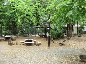 周辺環境:鎌田公園 ニュー井の頭マンション