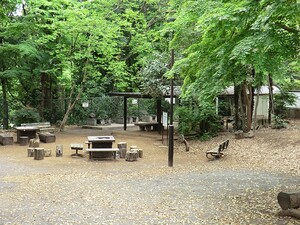 周辺環境:鎌田公園 土地・売地 三鷹市井の頭４丁目 28300万円 吉祥寺駅｜住建ハウジング