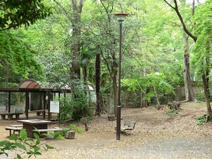 周辺環境:鎌田公園 土地・売地 三鷹市井の頭４丁目 7980万円 井の頭公園駅｜住建ハウジング