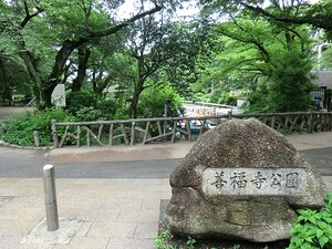 周辺環境:善福寺公園 土地・売地 杉並区善福寺４丁目 7330万円 上石神井駅｜住建ハウジング