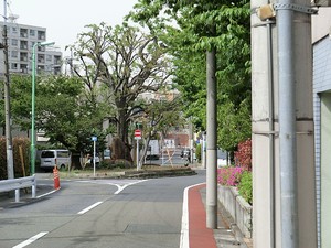 周辺環境:芦毛塚街かど公園 土地・売地 目黒区五本木１丁目 12000万円 祐天寺駅｜住建ハウジング