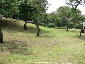 周辺環境:桜梅公園 その他(一棟) 大田区東糀谷５丁目 旅館運営中 9500万円 大鳥居駅｜住建ハウジング