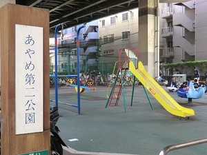 周辺環境:あやめ第二公園 日本橋浜町公園グランドハイツ弐番館