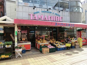 周辺環境:玉秀本店 土地・売地 世田谷区深沢３丁目 6698万円 尾山台駅｜住建ハウジング