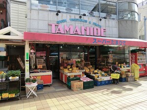 周辺環境:玉秀本店 世田谷区等々力７丁目(9980万円)｜土地・売地｜住建ハウジング