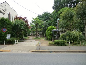周辺環境:等々力七丁目公園 パルロイヤル等々力
