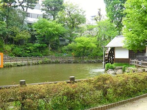 周辺環境:鍋島松濤公園 渋谷区松濤１丁目(29900万円)｜土地・売地｜住建ハウジング