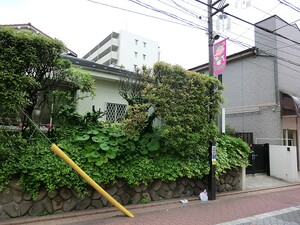 周辺環境:杉崎医院 新築一戸建て 大田区大森西５丁目 5680万円 梅屋敷駅｜住建ハウジング