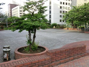 周辺環境:築地川祝橋公園 ＣＳタワーアネックス