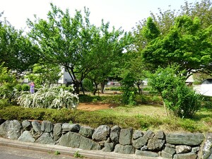 周辺環境:八幡通り公園 中古一戸建て 武蔵野市吉祥寺東町２丁目 9980万円 吉祥寺駅｜住建ハウジング