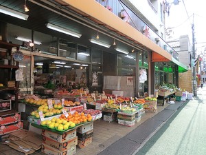 周辺環境:大銀ストア本店 新築一戸建て 文京区千駄木５丁目 13660万円 千駄木駅｜住建ハウジング