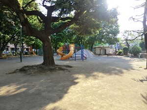 周辺環境:駒込公園 新築一戸建て 文京区本駒込４丁目 17000万円 田端駅｜住建ハウジング