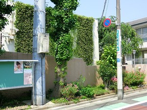周辺環境:上祖師谷保育園 新築一戸建て 世田谷区粕谷３丁目 9480万円 千歳烏山駅｜住建ハウジング