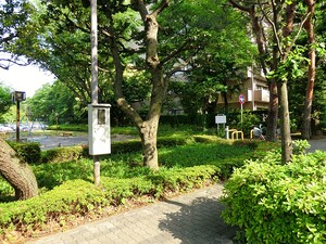 周辺環境:泉橋公園 世田谷区粕谷２丁目(12100万円)｜土地・売地｜住建ハウジング