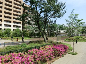 周辺環境:千歳台六丁目公園 東京テラスＡＥ・ＡＷ・Ｂ棟