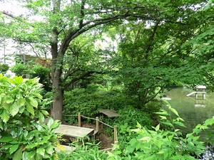 周辺環境:つりがね池公園 新築一戸建て 世田谷区上祖師谷３丁目 8490万円 千歳烏山駅｜住建ハウジング