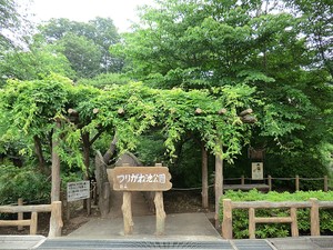 周辺環境:つりがね池公園 世田谷区祖師谷６丁目(8980万円)｜土地・売地｜住建ハウジング