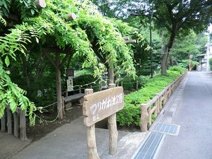 周辺環境:つりがね池公園 世田谷区祖師谷５丁目(6380万円)｜土地・売地｜住建ハウジング