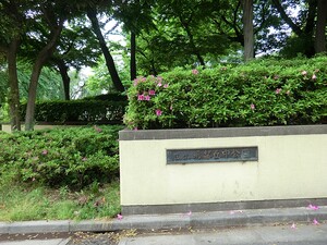 周辺環境:希望丘中公園 ライオンズガーデン芦花公園