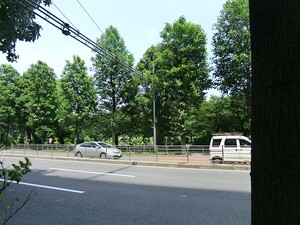 周辺環境:千鳥ヶ淵公園 ライオンズマンション平河町Ｋ