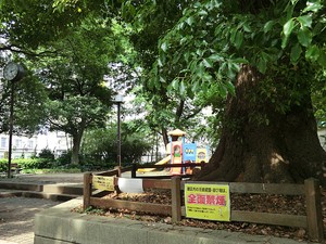 周辺環境:高輪一丁目児童遊園 マートルコート白金三光坂