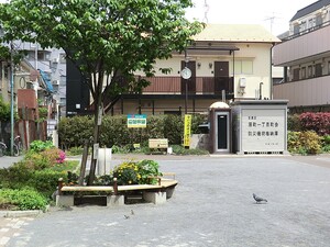 周辺環境:西小山公園 目黒区目黒本町５丁目(12800万円)｜新築一戸建て｜住建ハウジング