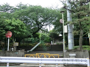 周辺環境:自由が丘公園 土地・売地 目黒区自由が丘１丁目 9780万円 自由が丘駅｜住建ハウジング