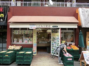 周辺環境:稲毛屋 土地・売地 新宿区早稲田鶴巻町 11600万円 早稲田駅｜住建ハウジング