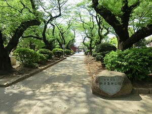 周辺環境:新井薬師公園 サンピア哲学堂公園