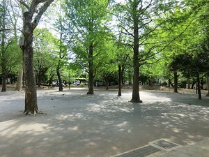周辺環境:新井薬師公園 土地・売地 中野区新井３丁目 15500万円 中野駅｜住建ハウジング