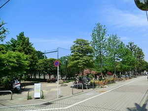 周辺環境:赤松公園 中古一戸建て 世田谷区松原３丁目 6288万円 明大前駅｜住建ハウジング